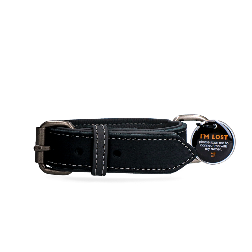 Sicheres Hundehalsband mit AirTag-Halter – optimale Ortung und komfortabler Sitz