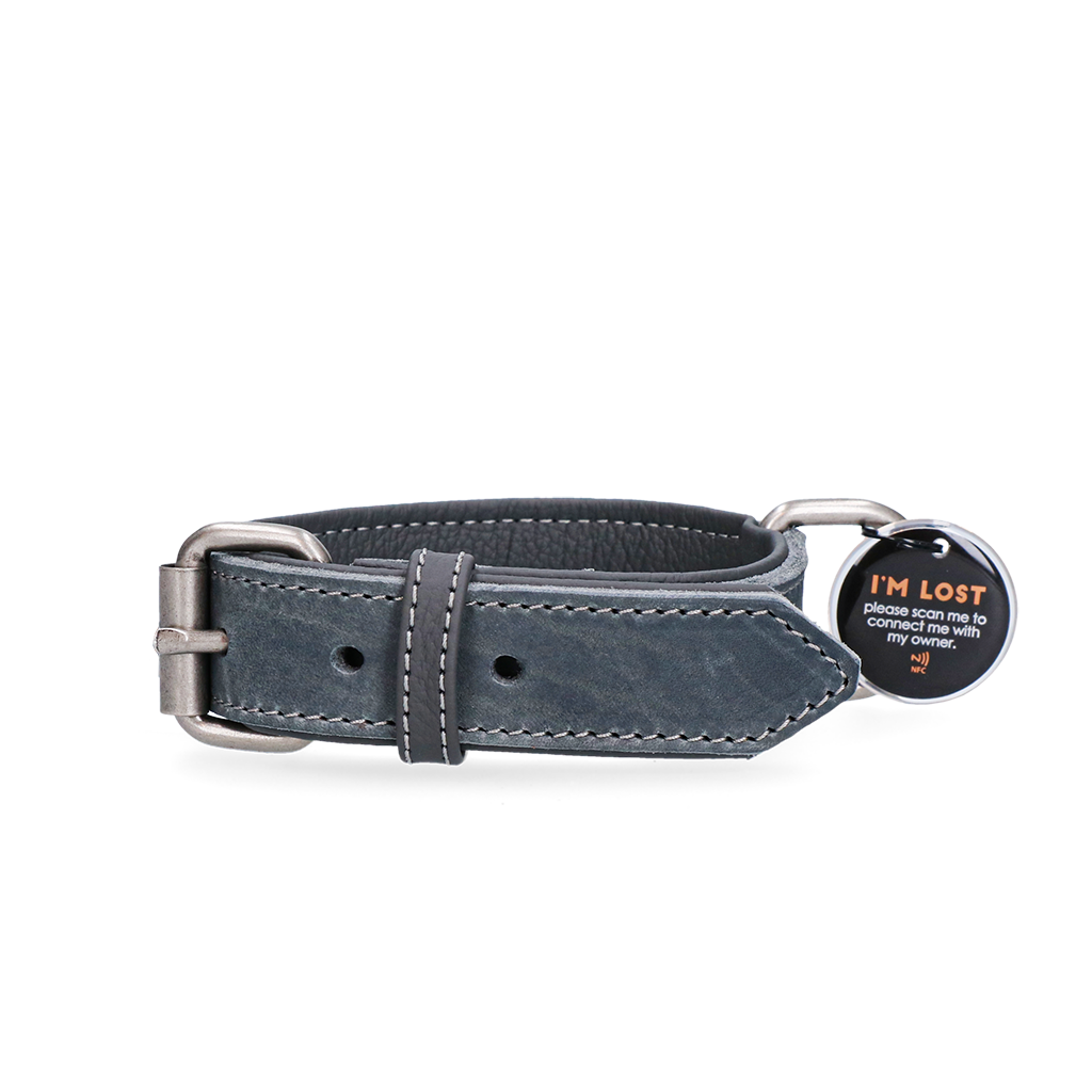 Sicheres Hundehalsband mit AirTag-Halter – optimale Ortung und komfortabler Sitz