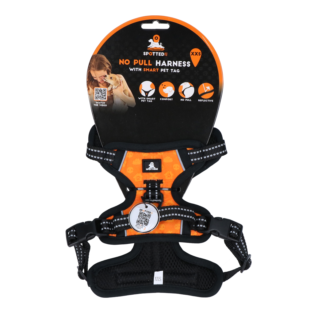 Ergonomische Hundegeschirre – sicherer und bequemer Halt für jeden Spaziergang