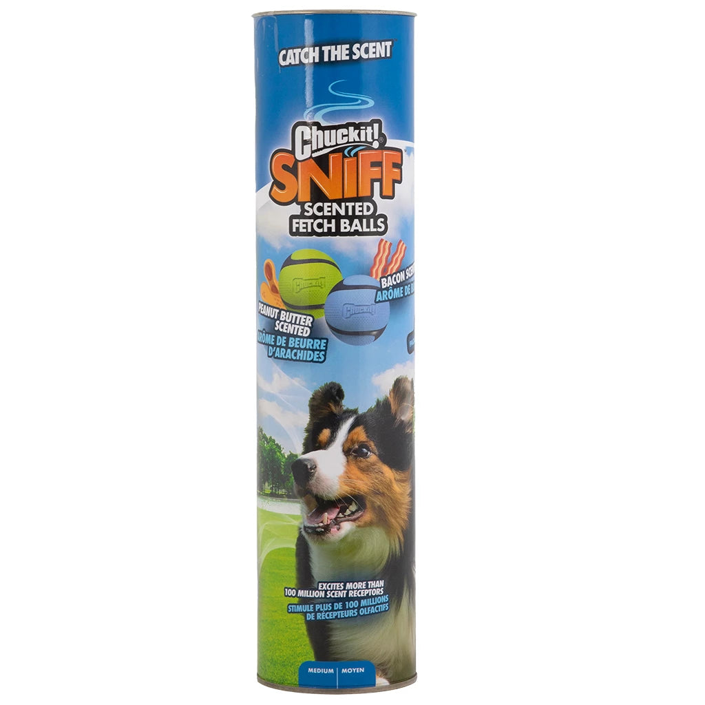 Chuckit! Sniff Fetch Bälle (4er-Pack)