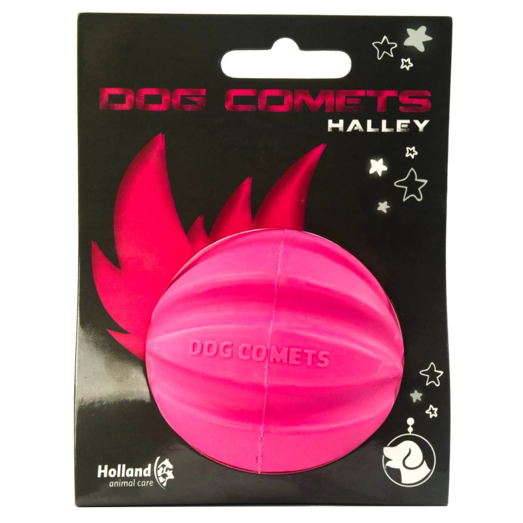 Dog Comets Swift Tuttle
