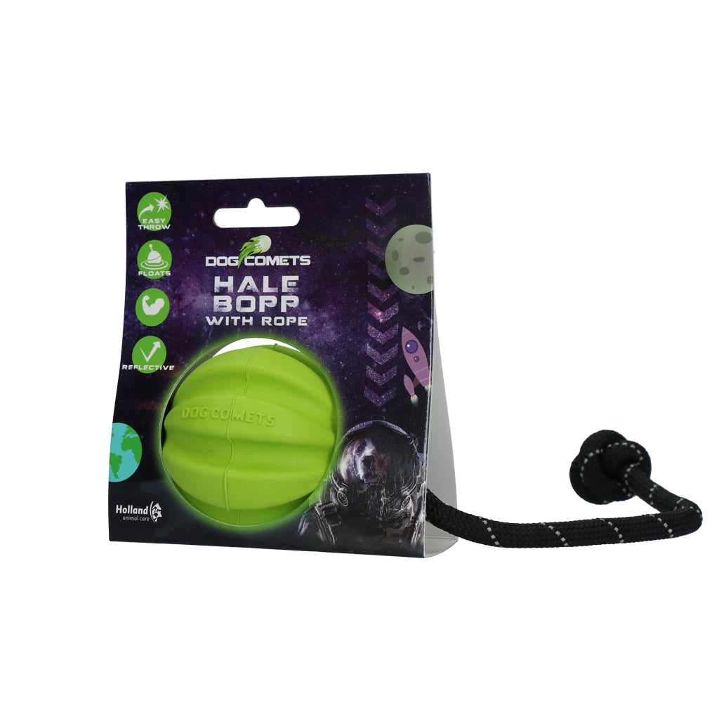 Dog Comets Swift Tuttle Mit Seil