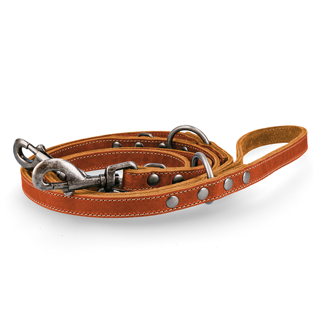 Trainingsleine aus Leder 1,6x250cm
