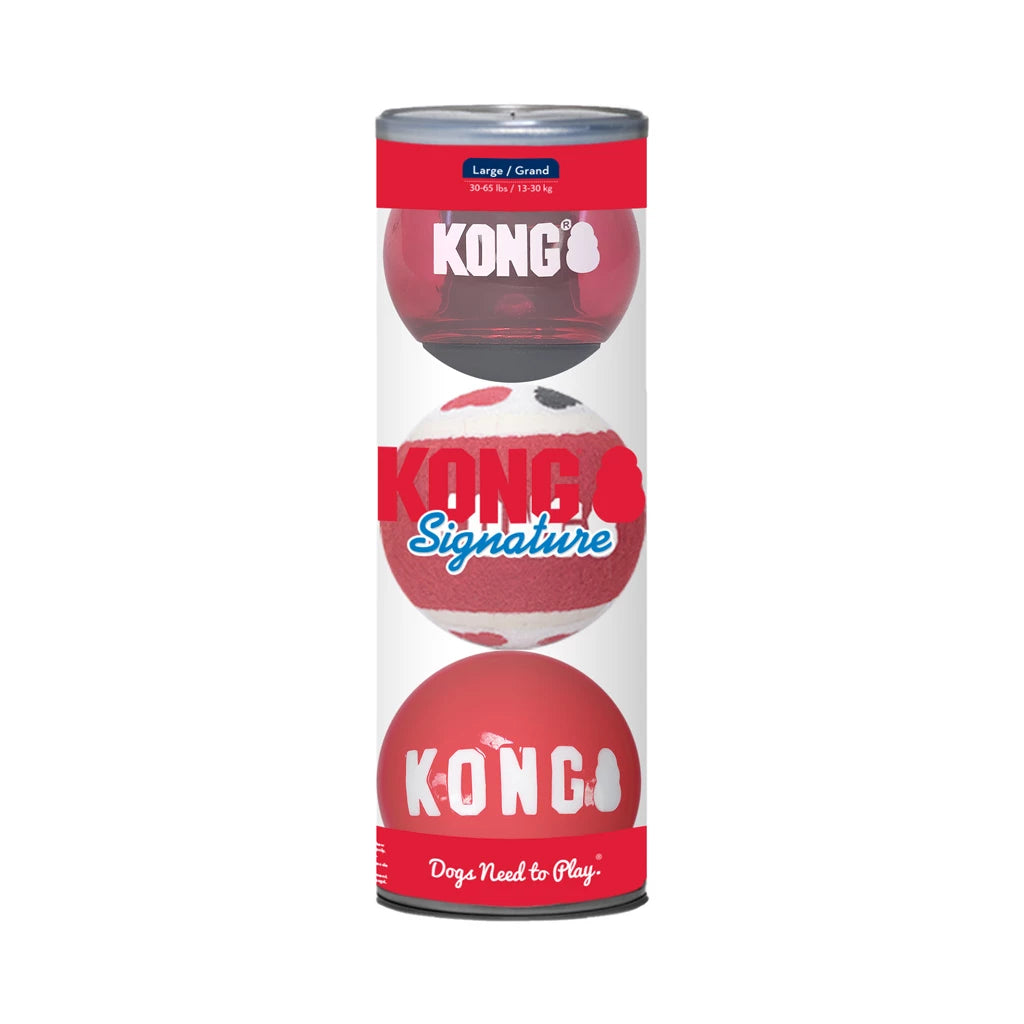 KONG Signature Bälle 3er-Pack L