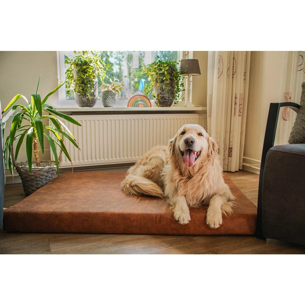 Orthopädisch - Let's Sleep Mellow Mattress Cognac