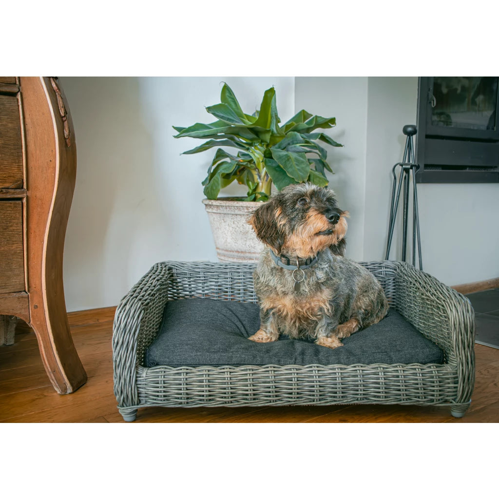 Weidenkorb Für Hunde