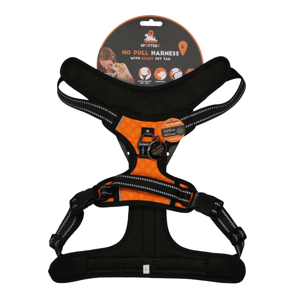Spotted! PRO Geschirr Orange