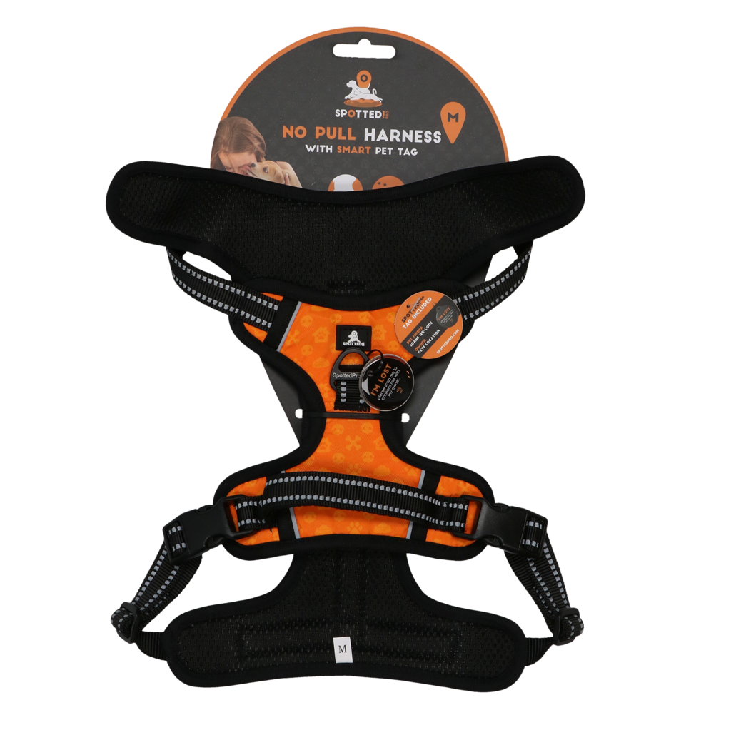 Spotted! PRO Geschirr Orange
