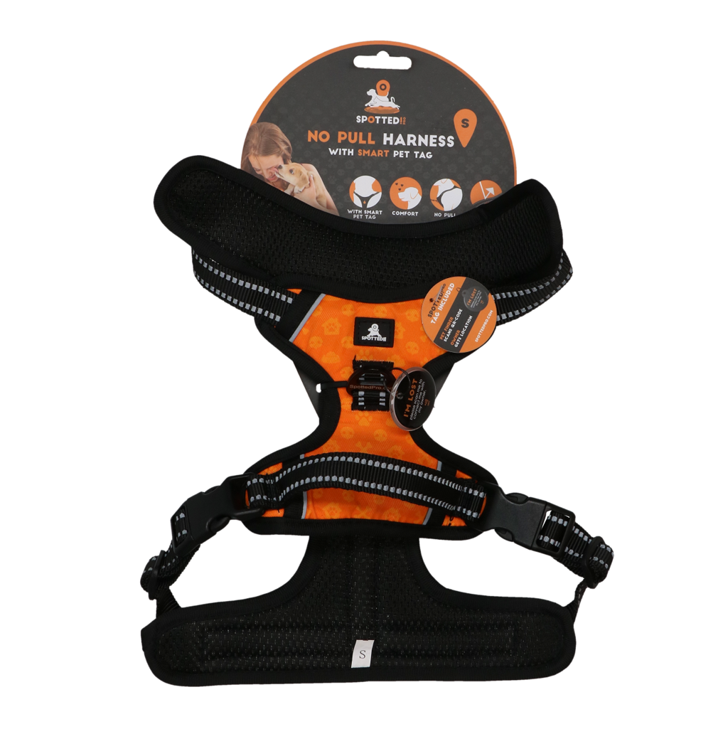 Spotted! PRO Geschirr Orange
