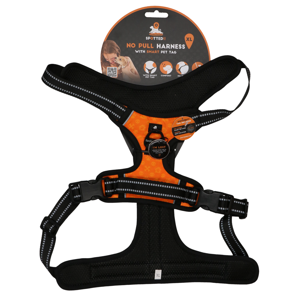 Spotted! PRO Geschirr Orange