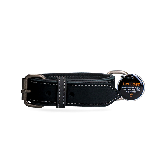 Sicheres Hundehalsband mit AirTag-Halter – optimale Ortung und komfortabler Sitz