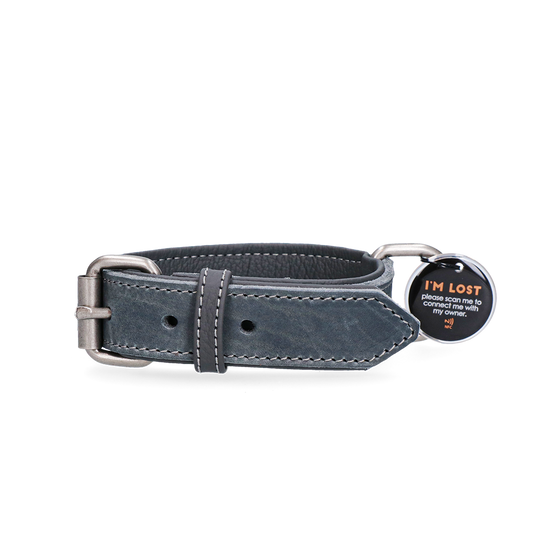 Sicheres Hundehalsband mit AirTag-Halter – optimale Ortung und komfortabler Sitz