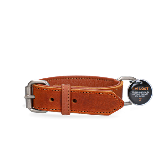 Sicheres Hundehalsband mit AirTag-Halter – optimale Ortung und komfortabler Sitz