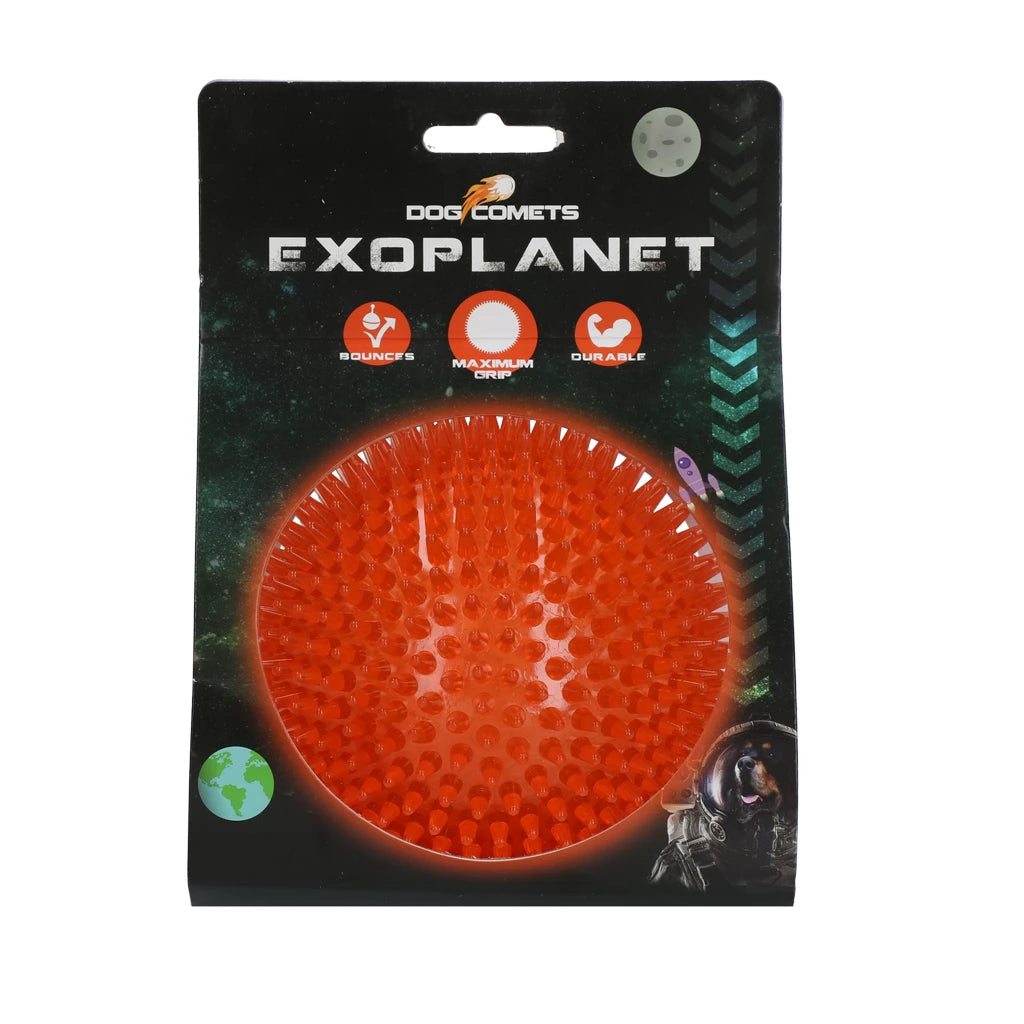 Dog Comets Exoplanet Igelball