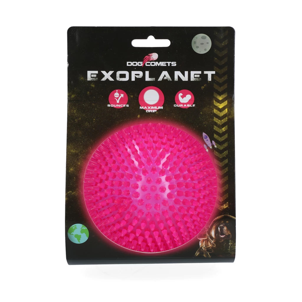 Dog Comets Exoplanet Igelball