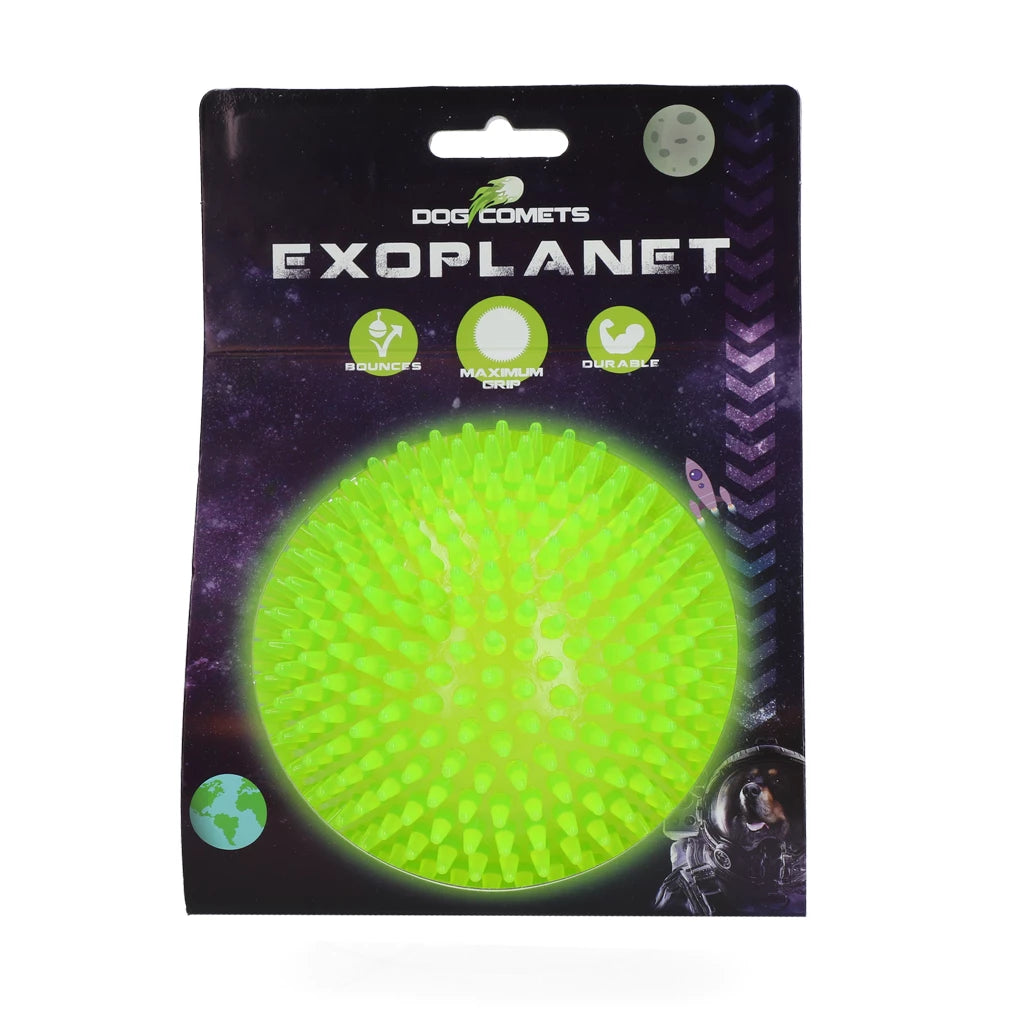 Dog Comets Exoplanet Igelball