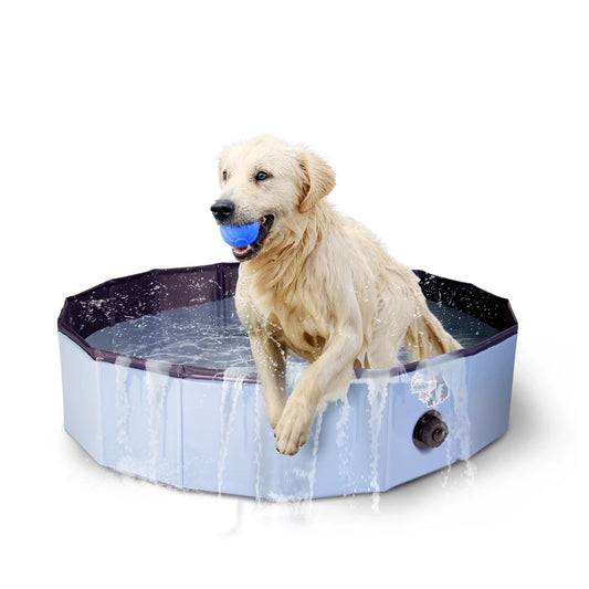 CoolPets Splash Dog Pool