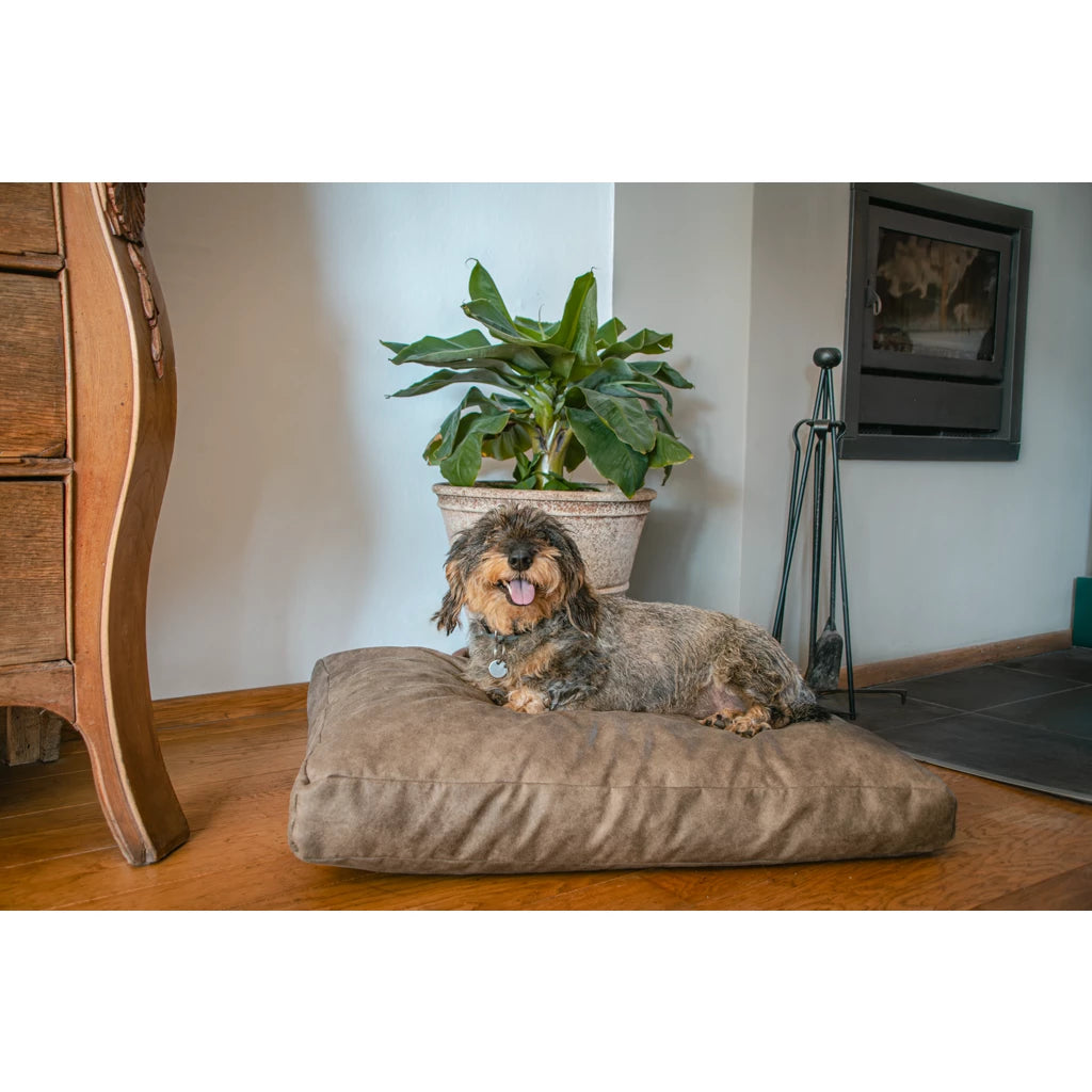 Hundebett Cognac Let's Sleep Plush Pillow