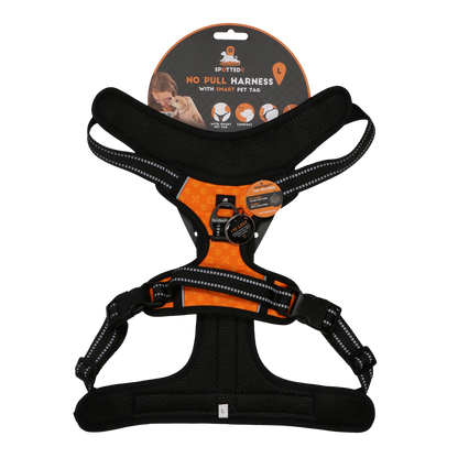 Spotted! PRO Geschirr Orange