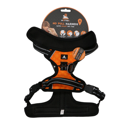 Spotted! PRO Geschirr Orange