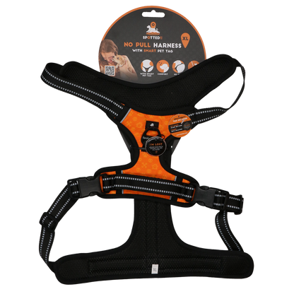 Spotted! PRO Geschirr Orange