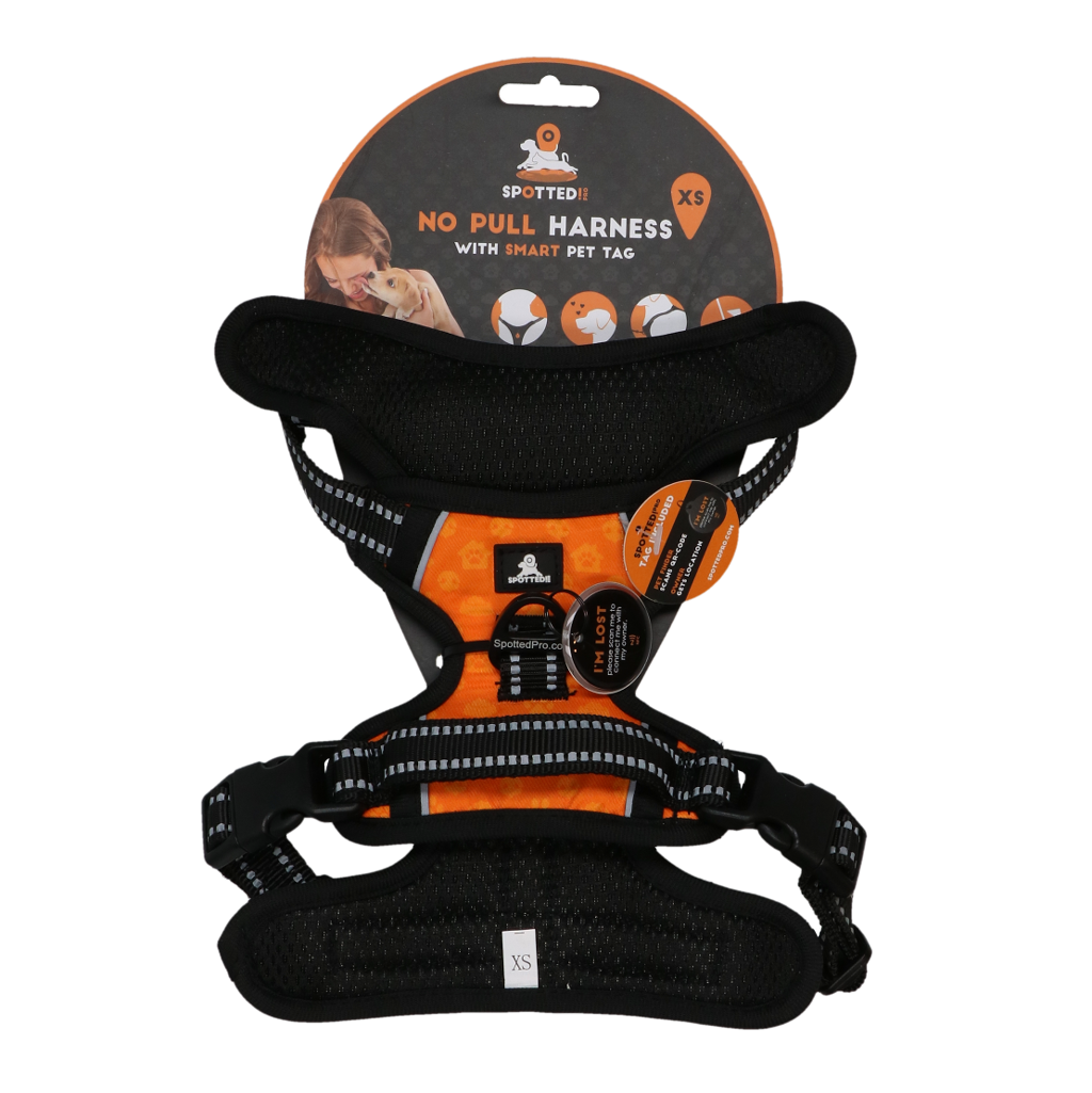 Spotted! PRO Geschirr Orange