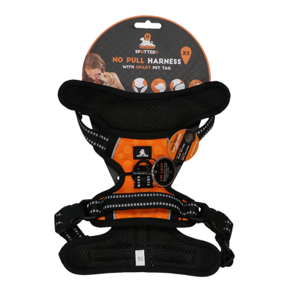 Spotted! PRO Geschirr Orange